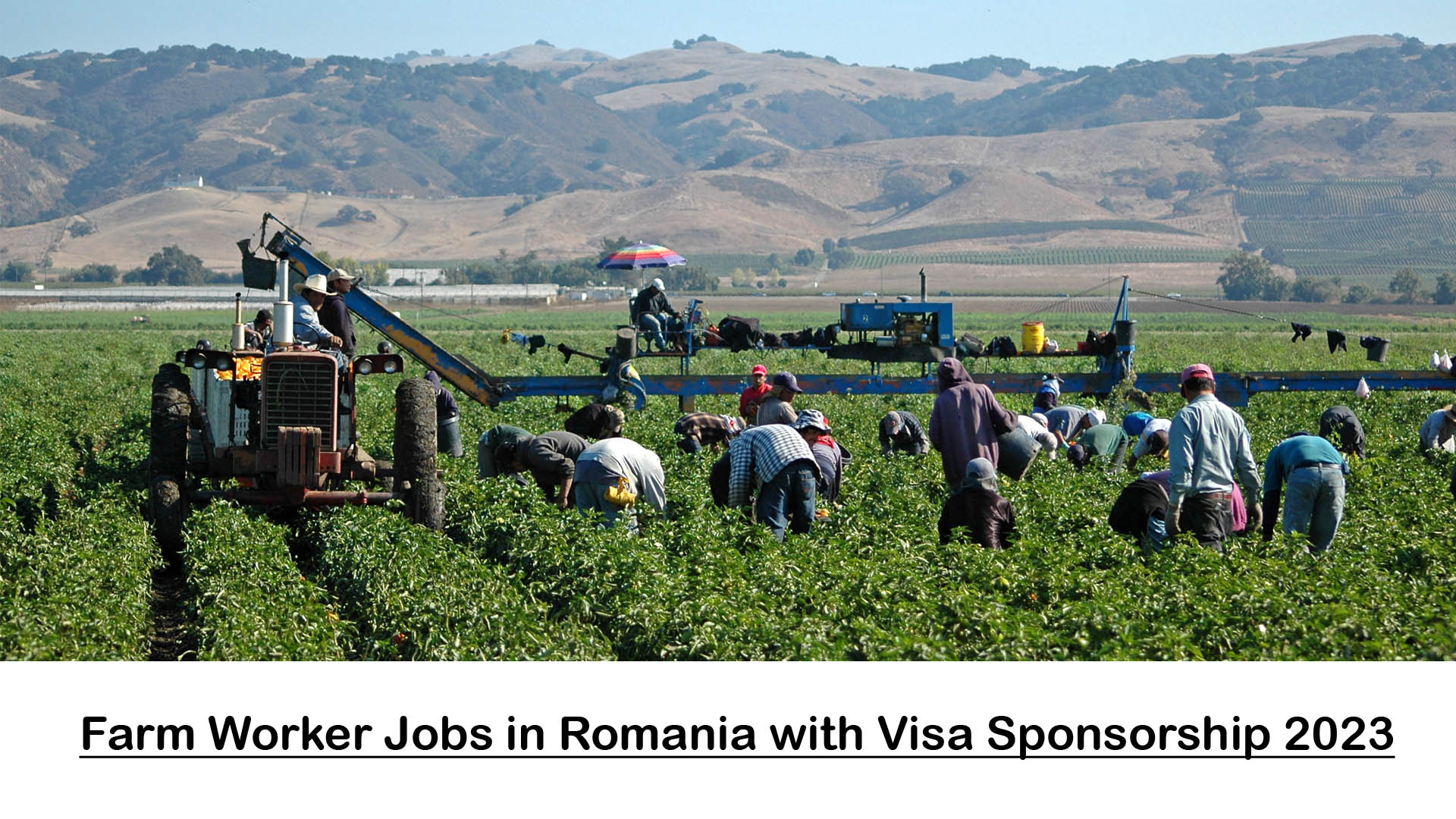 Farm Worker Jobs in Romania with Visa Sponsorship 2023