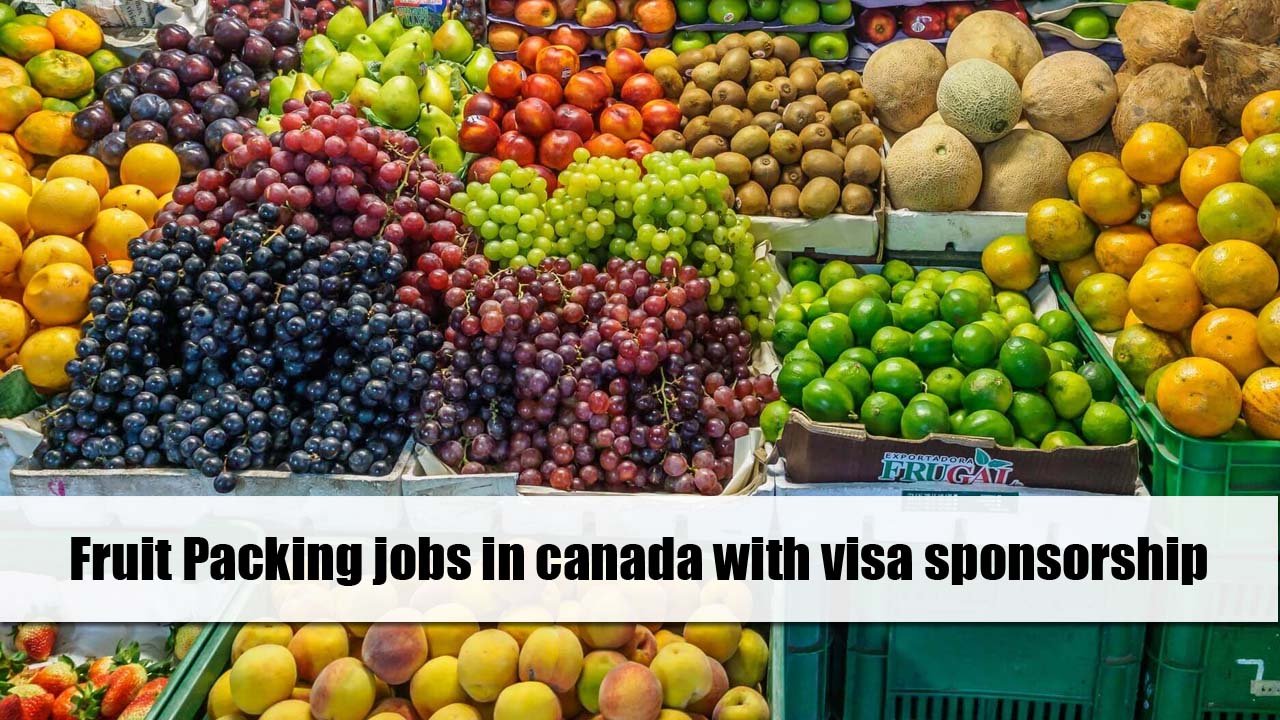 Fruit Packing jobs in Canada with visa sponsorship 2023