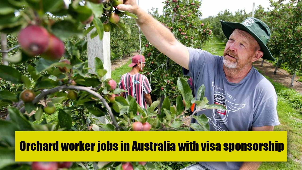 Orchard Worker Jobs In Australia with Visa Sponsorship