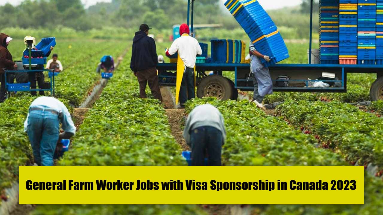 General Farm Worker Jobs with Visa Sponsorship in Canada 2023