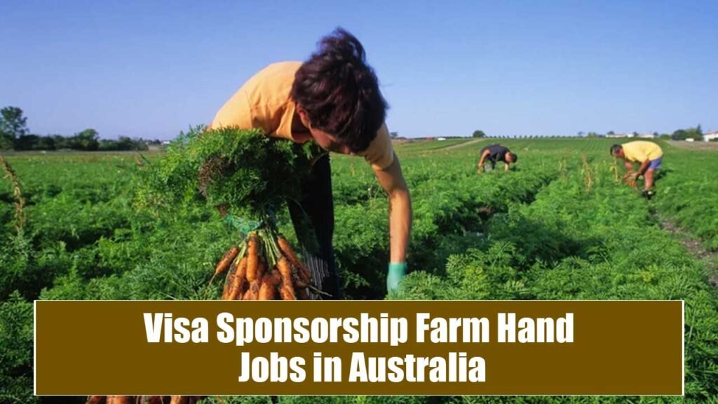 Visa Sponsorship Farm Hand Jobs in Australia