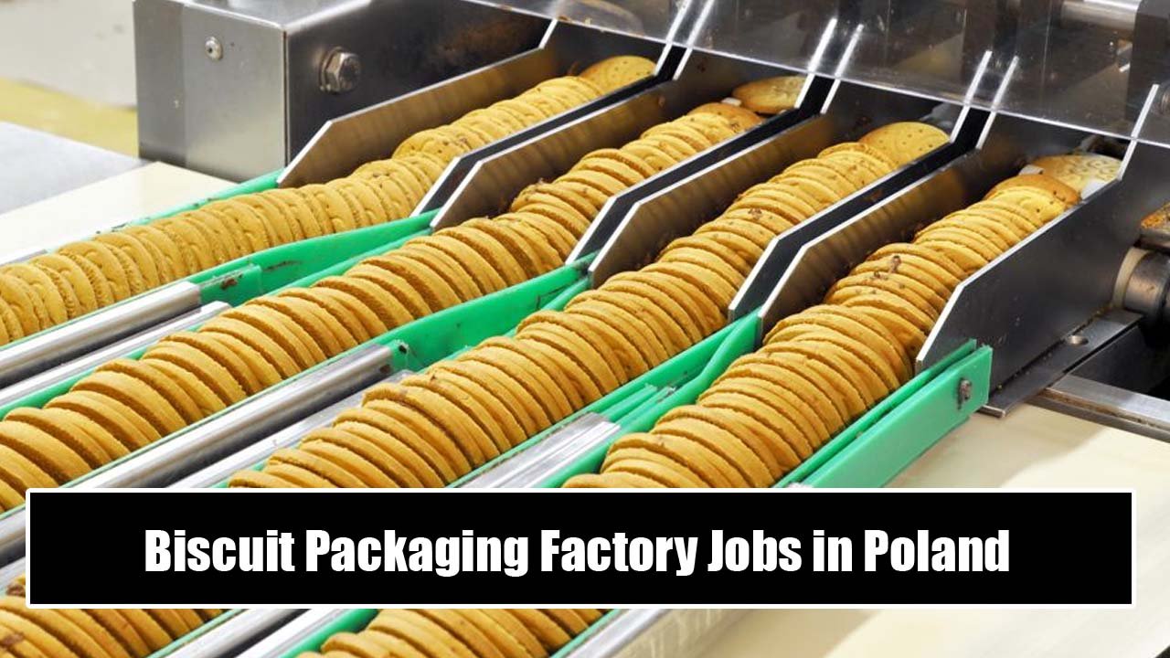 Biscuit Packaging Factory Jobs in Poland for Foreigners