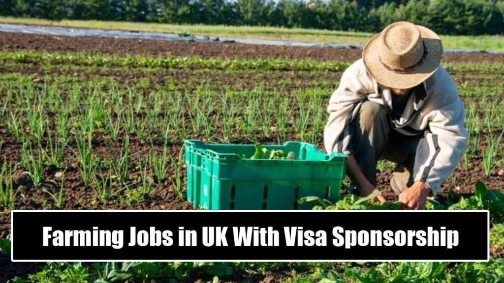 Farming Jobs in UK With Visa Sponsorship