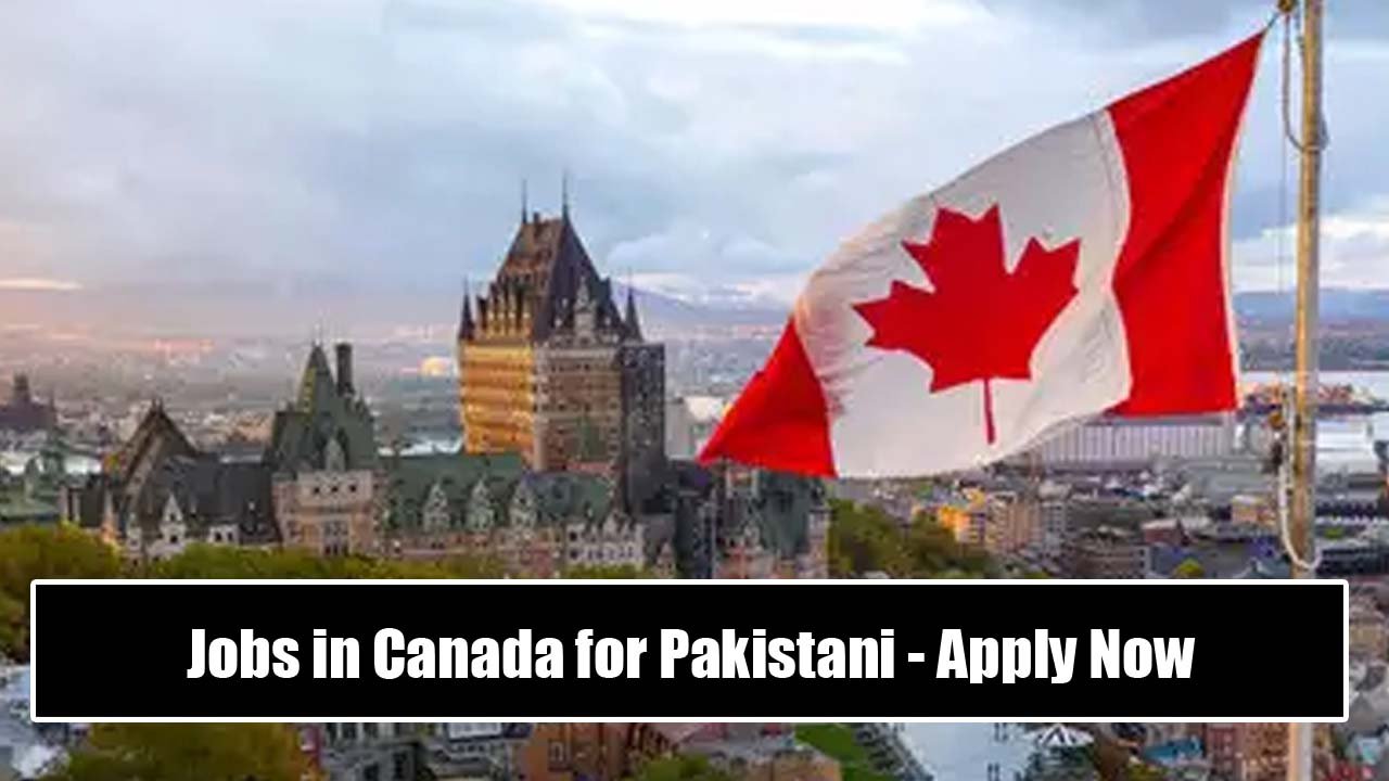 Jobs in Canada for Pakistani - Apply Now