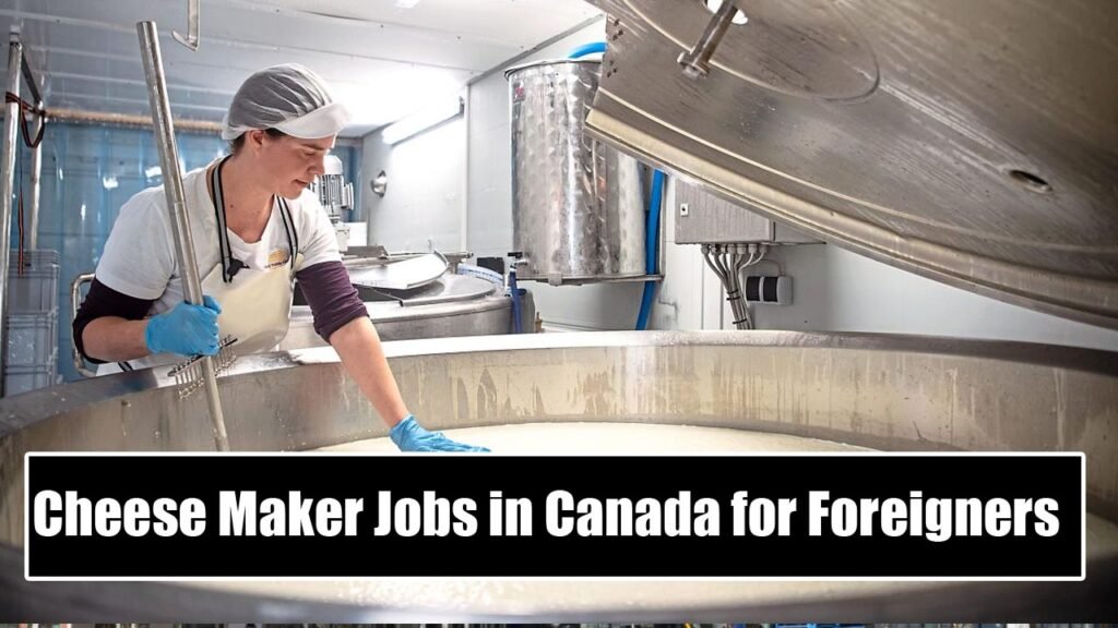 Cheese Maker Jobs in Canada for Foreigners – Visa Sponsorship
