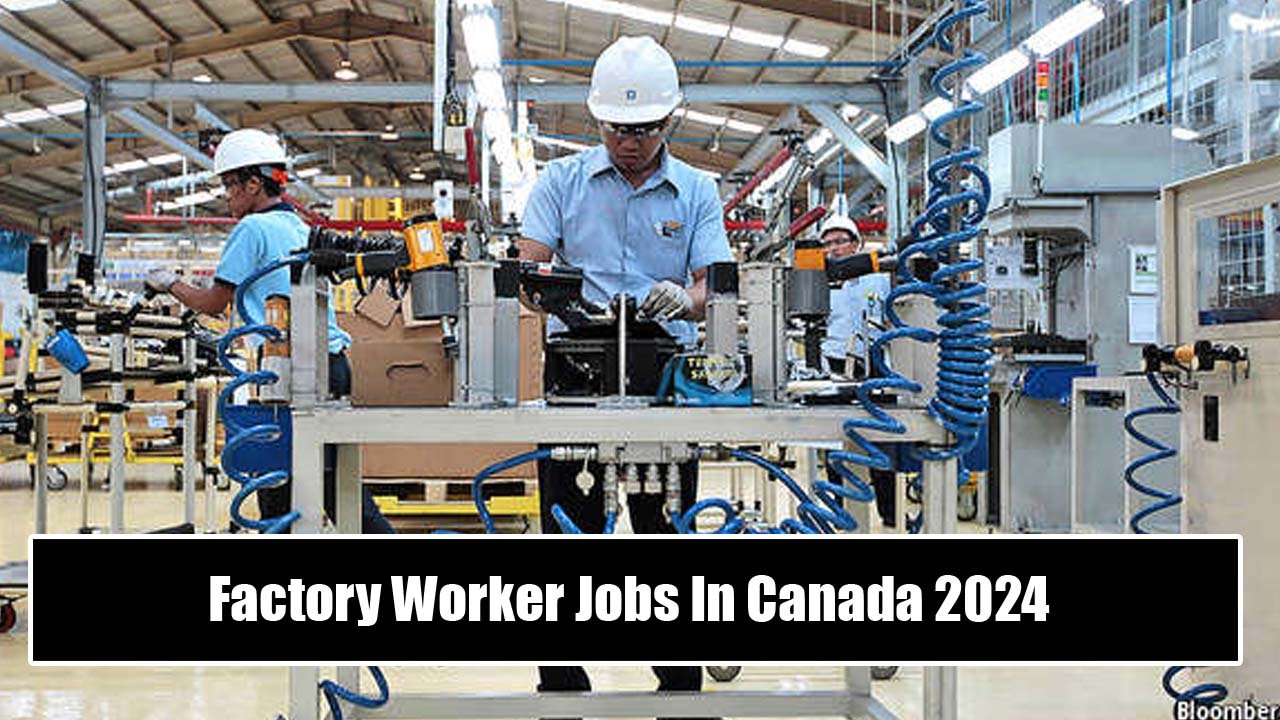 Factory Worker Jobs In Canada 2024 - Visa Sponsorship