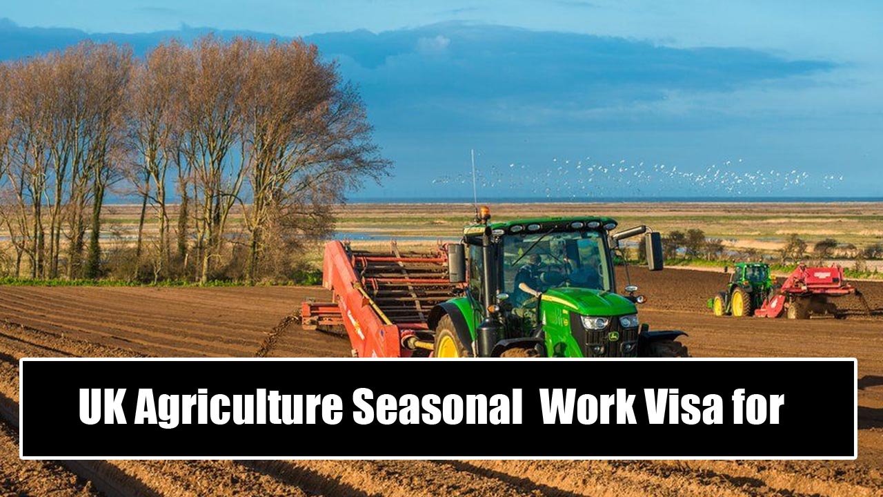 UK Agriculture Seasonal  Work Visa for Foreigners 2024