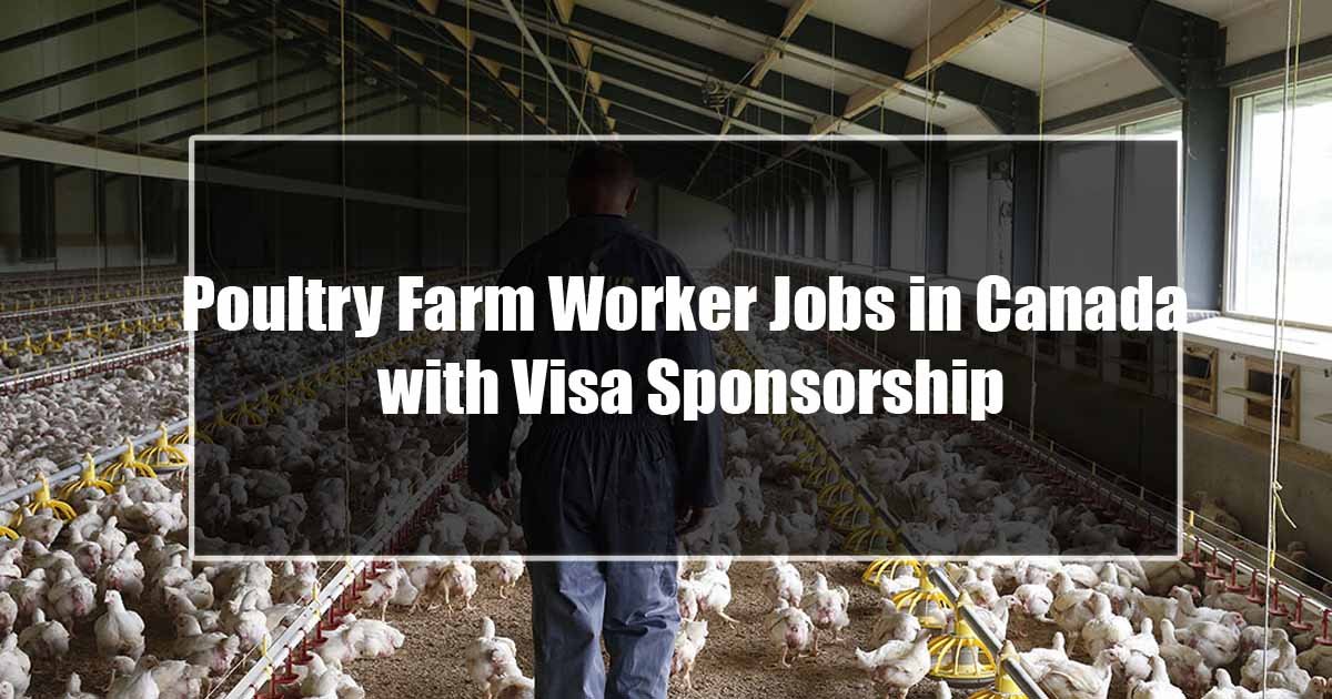 Poultry Farm Worker Jobs in Canada with Visa Sponsorship