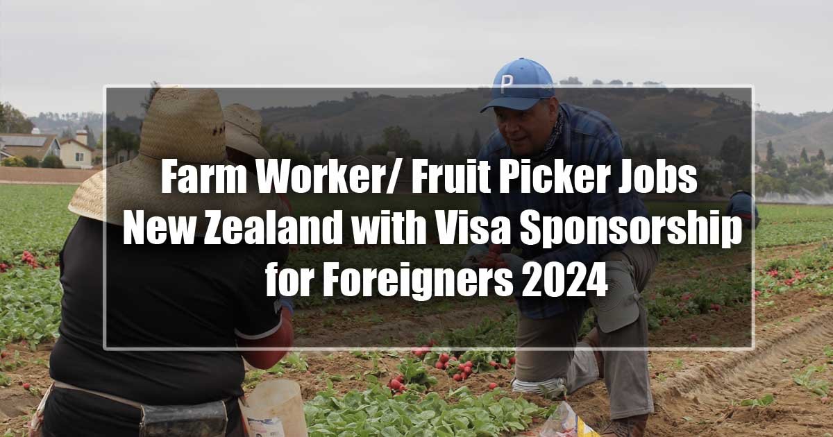 Farm Worker/ Fruit Picker Jobs New Zealand with Visa Sponsorship for Foreigners 2024