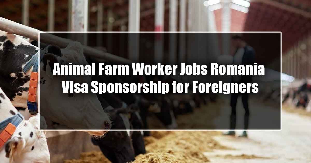 Animal Farm Worker Jobs Romania 2024 Visa Sponsorship for Foreigners - Apply Now