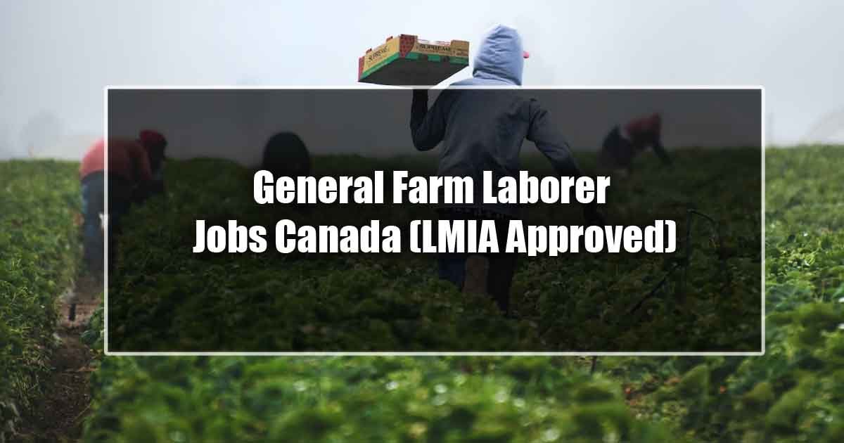 General Farm Laborer Jobs Canada (LMIA Approved)