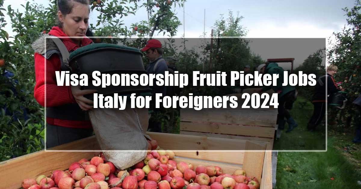 Visa Sponsorship Fruit Picker Jobs Italy for Foreigners 2024