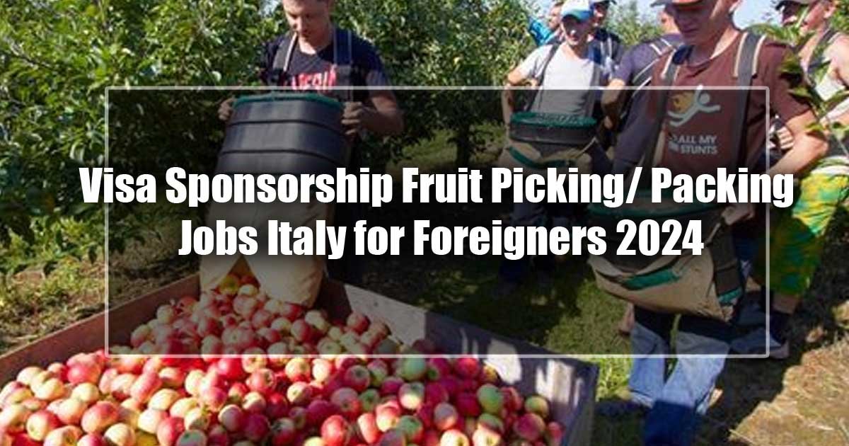 Visa Sponsorship Fruit Picking/ Packing Jobs Italy